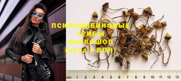 гидра Балабаново